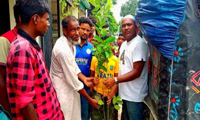 ইসলামপুরে হাফিজ পাঠাগারের উদ্যোগে গাছের চারা বিতরণ