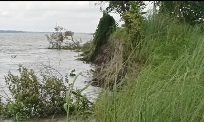 চরভদ্রাসনে  নদী ভাঙন  আতঙ্কে দিশেহারা হয়ে পড়ছে  পদ্মাপাড়ের মানুষ