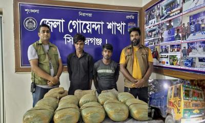 সিরাজগঞ্জে ২০ কেজি গাঁজাসহ দুই মাদক কারবারি আটক, ট্রাক জব্দ