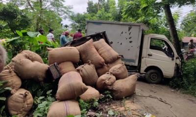 কোটচাঁদপুরে মোটরসাইকেল, পিকাপ ভ্যান, আলমসাধুর ত্রিমুখী সংঘর্ষ, আহত ৩