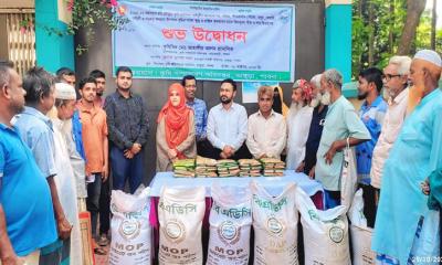 ভাঙ্গুড়ায় ক্ষুদ্র ও প্রান্তিক কৃষকদের মাঝে বিনামূল্যে বীজ ও সার বিতরণ