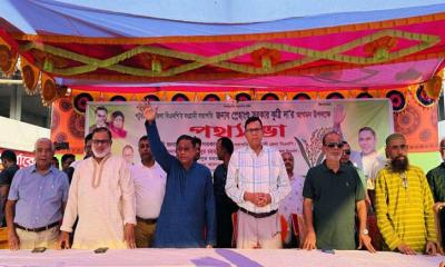 দুমকীতে বিএনপির নির্বাচনী পথসভায় হাজার নেতাকর্মীর ঢল