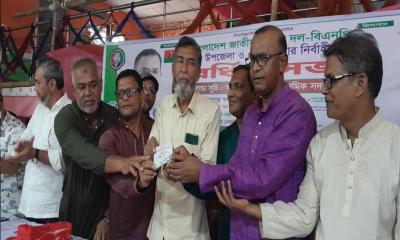 পীরগঞ্জে বিএনপির সদস্য পদ নবায়ন ও সদস্য সংগ্রহ কার্যক্রম শুরু
