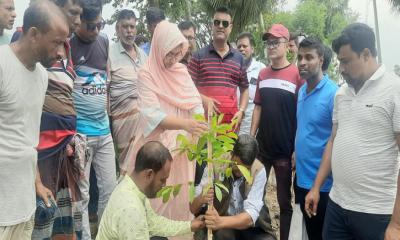 আদমদিঘীতে রক্তদহ বিলপাড়ে ৮ হাজার গাছ রোপণ উদ্বোধন