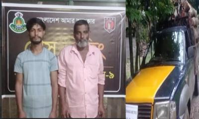 শ্রীমঙ্গলে অবৈধভাবে পাচারকালে অর্থলক্ষ টাকার কাঠবোঝাই পিকআপসহ ২ জন আটক