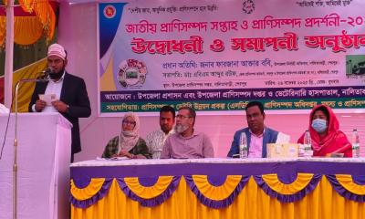 নালিতাবাড়ীতে প্রাণিসম্পদ প্রদর্শনী অনুষ্ঠিত