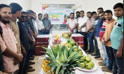 নগদ’র ডিস্ট্রিবিউশন হাউজ 