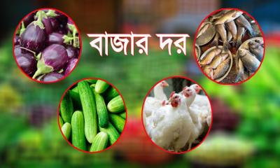 বেগুন-শসার দামে সেঞ্চুরি, মাছ-মুরগির দামও চড়া