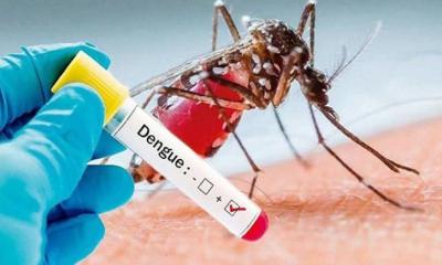 ডেঙ্গুতে মৃত্যু ৪০০–এর দ্বারপ্রান্তে
