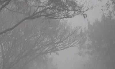 তেঁতুলিয়ায় টানা তৃতীয় দিনের মতো মৃদু শৈত্যপ্রবাহ