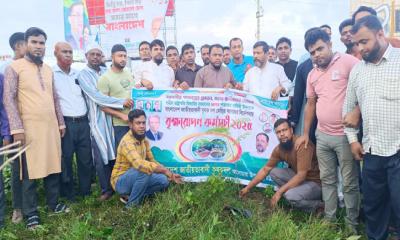 আনোয়ারায় কৃষক দলের এক মাসব্যাপী বৃক্ষরোপণ কর্মসূচির উদ্বোধন