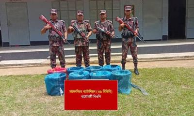 শেরপুর সীমান্তে ভারতে পাচারকালে ৬৩ কেজি শিং মাছ জব্দ