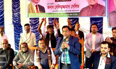 বিএনপির মনোনীত প্রার্থীকে বিজয়ী করতে ধানের শীষে ভোট দিন : সেলিমুজ্জামান সেলিম
