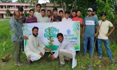 আনোয়ারায় ইসলামী ছাত্র শিবিরের উদ্যোগে বৃক্ষরোপণ কর্মসূচি পালিত