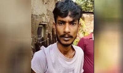 মান্দায় বিপুল পরিমাণ গাঁজার গাছসহ যুবক আটক