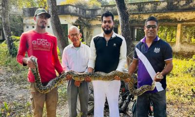 শ্রীমঙ্গলে ২৪ ঘন্টার ব্যবধানে লোকালয় থেকে দুই অজগর উদ্ধার