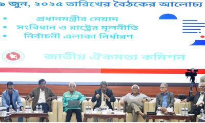 রাষ্ট্রপতি নির্বাচন প্রক্রিয়া বদলের বিষয়ে একমত রাজনৈতিক দলগুলো : আলী রিয়াজ