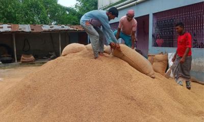 প্রান্তিক চাষীদের লাভ খায় মধ্যস্বত্বভোগীরা