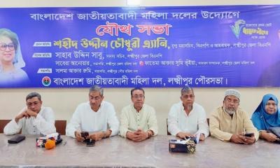 স্বৈরাচার পুনর্বাসনের পাঁয়তারা করছে একটি ইসলামি দল