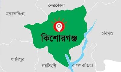 কিশোরগঞ্জে গাছ থেকে পড়ে প্রাণ গেল ইমামের