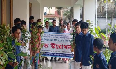 মুকসুদপুরে বিনামূল্যে  গাছের চারা বিতরণ