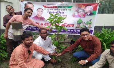 চরফ্যাশনে বিএনপির প্রতিষ্ঠাবার্ষিকীতে বৃক্ষ বিতরণ ও রোপণ কর্মসূচি