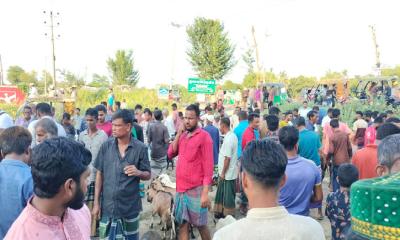 ঐতিহ্যবাহী ভৈরব বাজারের গ্রামীণ হাটে পোষা পাখিসহ নানা রকম প্রাণীর মেলা