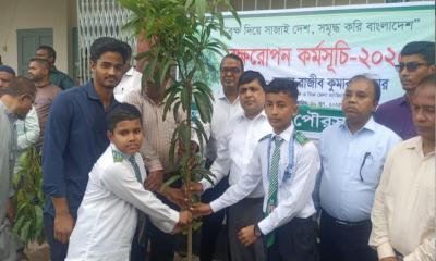 পরিবেশ ও প্রকৃতির ভারসাম্য রক্ষায় গাছ রোপণ জরুরি