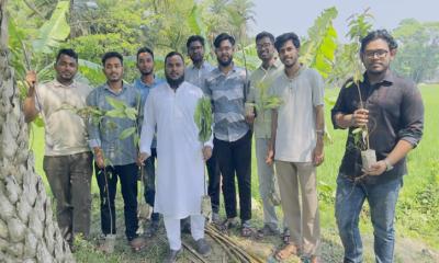 স্বাধীনতা দিবস উপলক্ষে বাকৃবিতে ছাত্রদলের বৃক্ষরোপণ কর্মসূচি