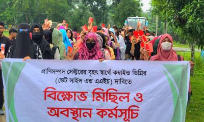 বাহা‍‍`কে লাল কার্ড প্রদর্শন, পবিপ্রবির অ্যানিমেল হাজবেন্ড্রি শিক্ষার্থীদের তীব্র প্রতিবাদ অব্যাহত