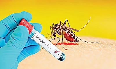 একদিনে রেকর্ড ৪২৯ জনের ডেঙ্গু শনাক্ত