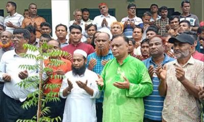 রাজবাড়ীতে শহীদদের স্মরণে বিএনপির বৃক্ষরোপণ কর্মসূচি