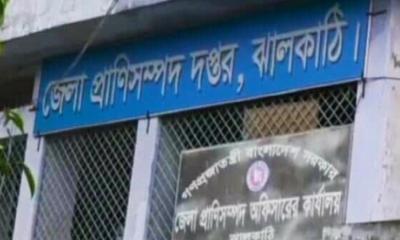 দুর্নীতির শীর্ষে ঝালকাঠির প্রাণিসম্পদ কর্মকর্তা আসাদুজ্জামান