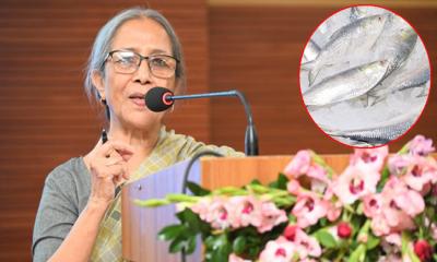ইলিশ রক্ষায় বিমানবাহিনী ড্রোনের মাধ্যমে তদারকি করবে : মৎস্য উপদেষ্টা