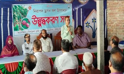 নিরাপদ ড্রাগন ফল উৎপাদনে কোটচাঁদপুরে চাষি ও ব্যবসায়ীদের সঙ্গে সভা