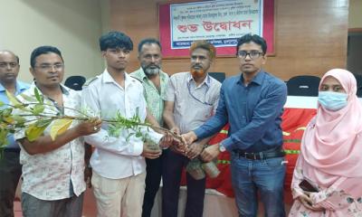 মুকসুদপুরে বিনামূল্যে  গাছের চারা বিতরণ