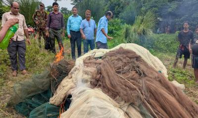 বড়াইগ্রামে সেনা অভিযানে ৩০টি অবৈধ মাছ ধরার জাল পুড়িয়ে ধ্বংস