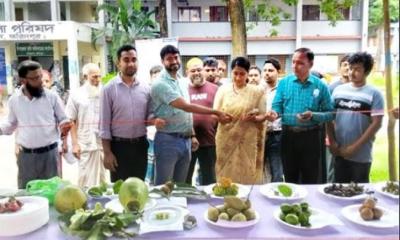 চরভদ্রাসনে তিনদিন ব্যাপি জাতীয় ফলমেলা-২০২৫ উদ্বোধন