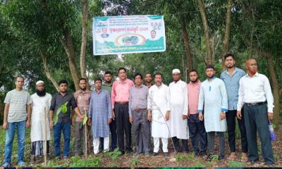 আনোয়ারায় বৈরাগ ইউনিয়নে কৃষক দলের বৃক্ষরোপণ কর্মসূচি অনুষ্ঠিত