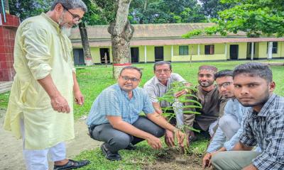 ভূরুঙ্গামারীতে শিক্ষার্থীদের মাঝে তিন হাজার গাছের চারা বিতরণ