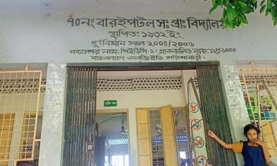 প্রধান শিক্ষিকার অবহেলায় মরে গেল গাছের চারা : তদন্তে শিক্ষা কর্মকর্তা