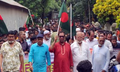 জুলাই ছাত্র-জনতার গণ-অভ্যুত্থানের বর্ষপূর্তিতে শাহজাদপুরে বিএনপির বিজয় মিছিল