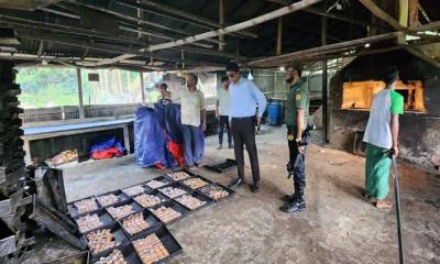 বোয়ালখালীতে অস্বাস্থ্যকর উপায়ে খাদ্য উৎপাদন: ৩০ হাজার টাকা জরিমানা
