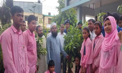 সবুজে ঘেরা মৌলভীবাজার জেলাকে আরও সবুজময় করতে চাই: জেলা প্রশাসক