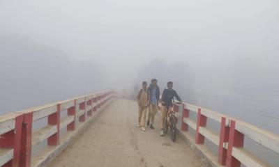 কুয়াশায় মোড়ানো ভাঙ্গুড়া, শীত আগমনের বার্তা