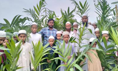 শহীদ আবরার ফাহাদের স্মরণে কিশোরগঞ্জে বৃক্ষরোপণ কর্মসূচি
