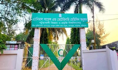 পবিপ্রবির বরিশাল ক্যাম্পাসের প্রজেক্টর নষ্ট, নেই সাউন্ড সিস্টেম: চরম ভোগান্তিতে শিক্ষার্থীরা