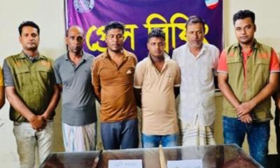 শার্শায় লিটন হত্যা মামলায় আরও চার আসামি গ্রেপ্তার