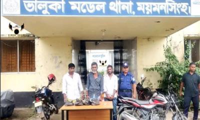 ভালুকায় গাঁজা-হিরোইনসহ দুই মাদক ব্যবসায়ী আটক