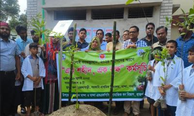 জুলাই গণঅভ্যুত্থান উপলক্ষে মান্দায় ‘এক শহীদ, এক বৃক্ষ’ কর্মসূচি